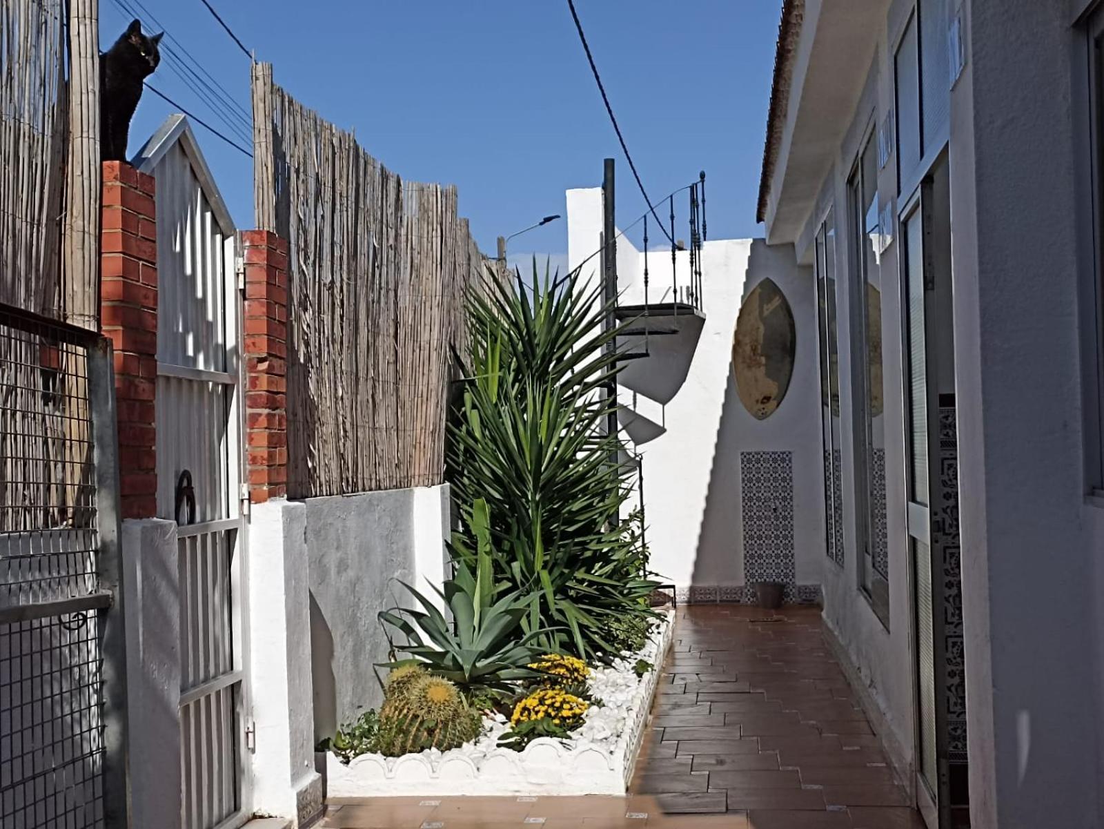 Casa, Piscina, Jacuzzi, Garaje, Barbacoa. Villa Chiclana de la Frontera Bagian luar foto